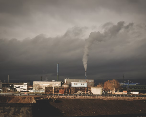 Dust Collector Maintenance